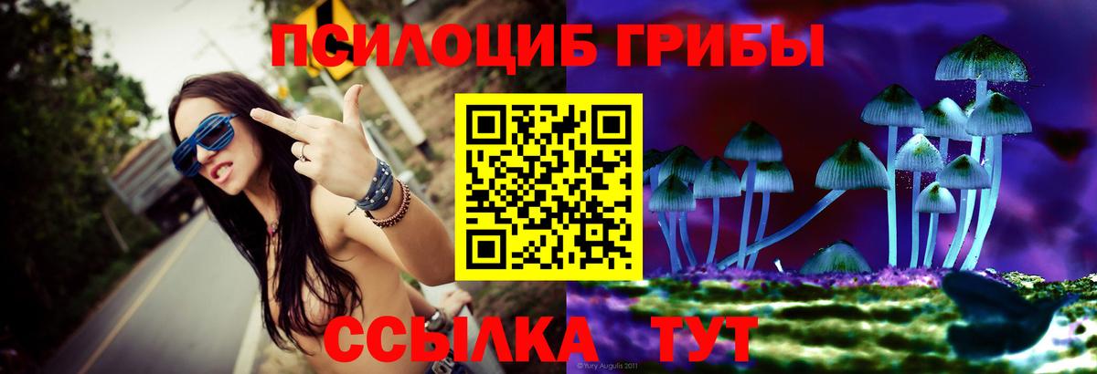 сколько стоит  Вход с VPN  Павловский Посад  Галлюциногенные грибы мицелий 